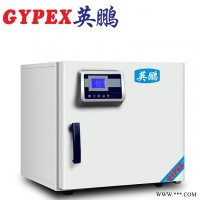 水城實(shí)驗(yàn)室干燥箱，電熱恒溫干燥箱