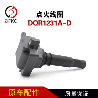 DQR1231A-D點火線圈J5700-3705060適配玉柴南充NQ120天然氣發(fā)動機
