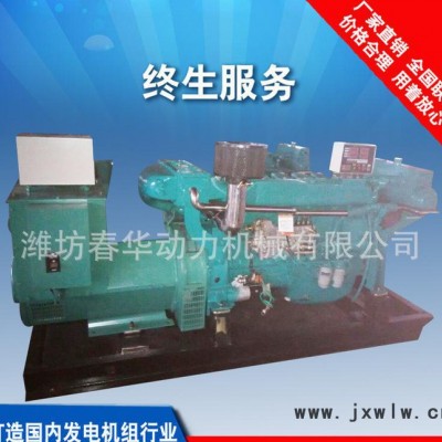 濰柴（200GFQ）燃氣發(fā)電機組 200KW船用燃氣發(fā)電機組  濰柴斯太爾6126柴油發(fā)動機 沼氣發(fā)電機組