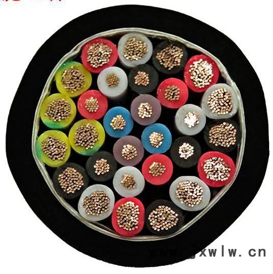 工業(yè)機(jī)器人柔軟抗扭轉(zhuǎn)電纜 13x0.5+16x1.42平方機(jī)器人本體電纜