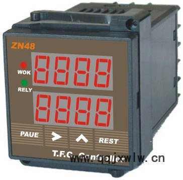 供應(yīng)東昊力偉ZN48智能計(jì)數(shù)器