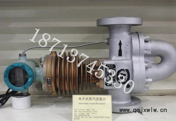河北永泰儀表廠 蒸汽流量計(jì)價(jià)格 機(jī)械式鑄鐵旋翼式蒸汽流量計(jì)