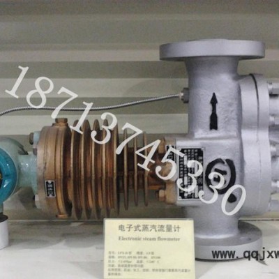 河北永泰儀表廠 蒸汽流量計(jì)價(jià)格 機(jī)械式鑄鐵旋翼式蒸汽流量計(jì)