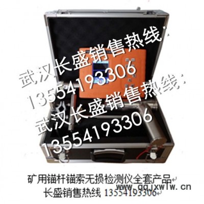 安全裝備與檢測(cè)儀器CMSW6(A)礦用本安型錨桿錨索無(wú)損檢測(cè)儀