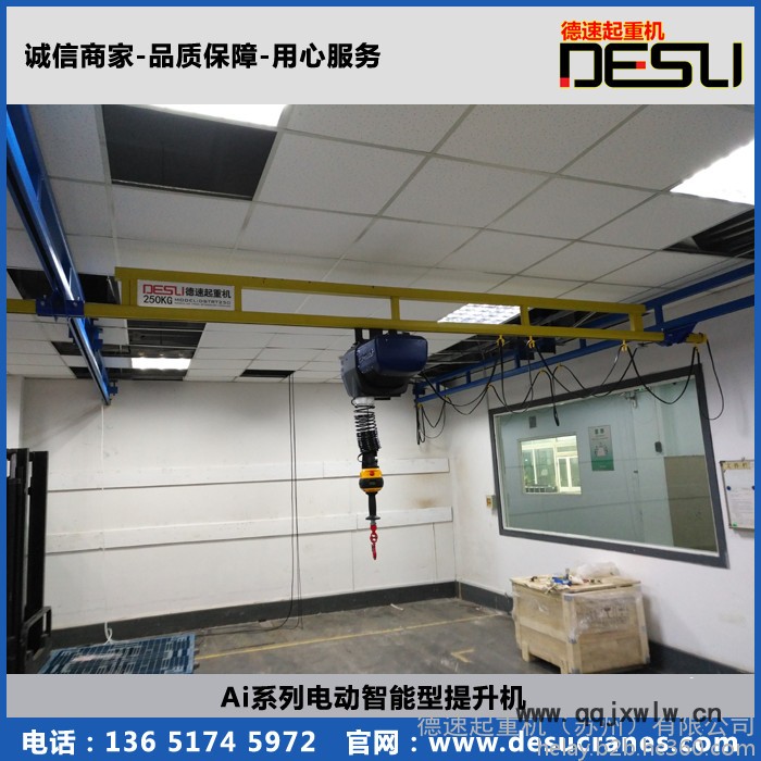 ENDO Ai系列智能提升機(jī) 80kg 150kg 300kg 600kg電動(dòng)伺服智能提升裝置 懸浮平衡吊 高博提升