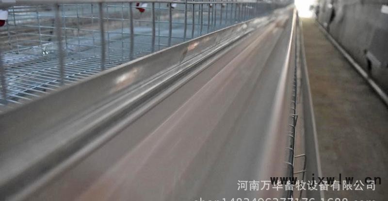 萬華畜牧階梯蛋雞籠子養(yǎng)雞設備